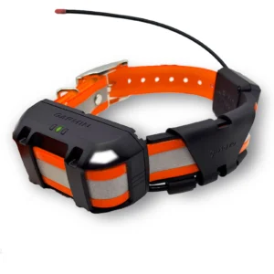 Garmin TT25 collar